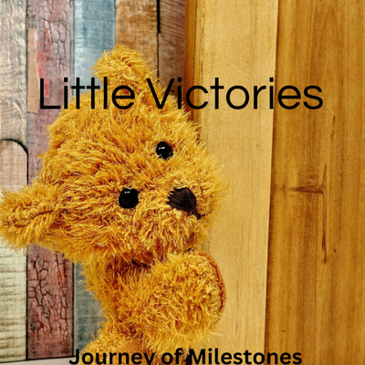 Little Victories NICU Milestone Journal